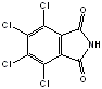 CAS 1571-13-7 :: 3,4,5,6-Tetrachlorop